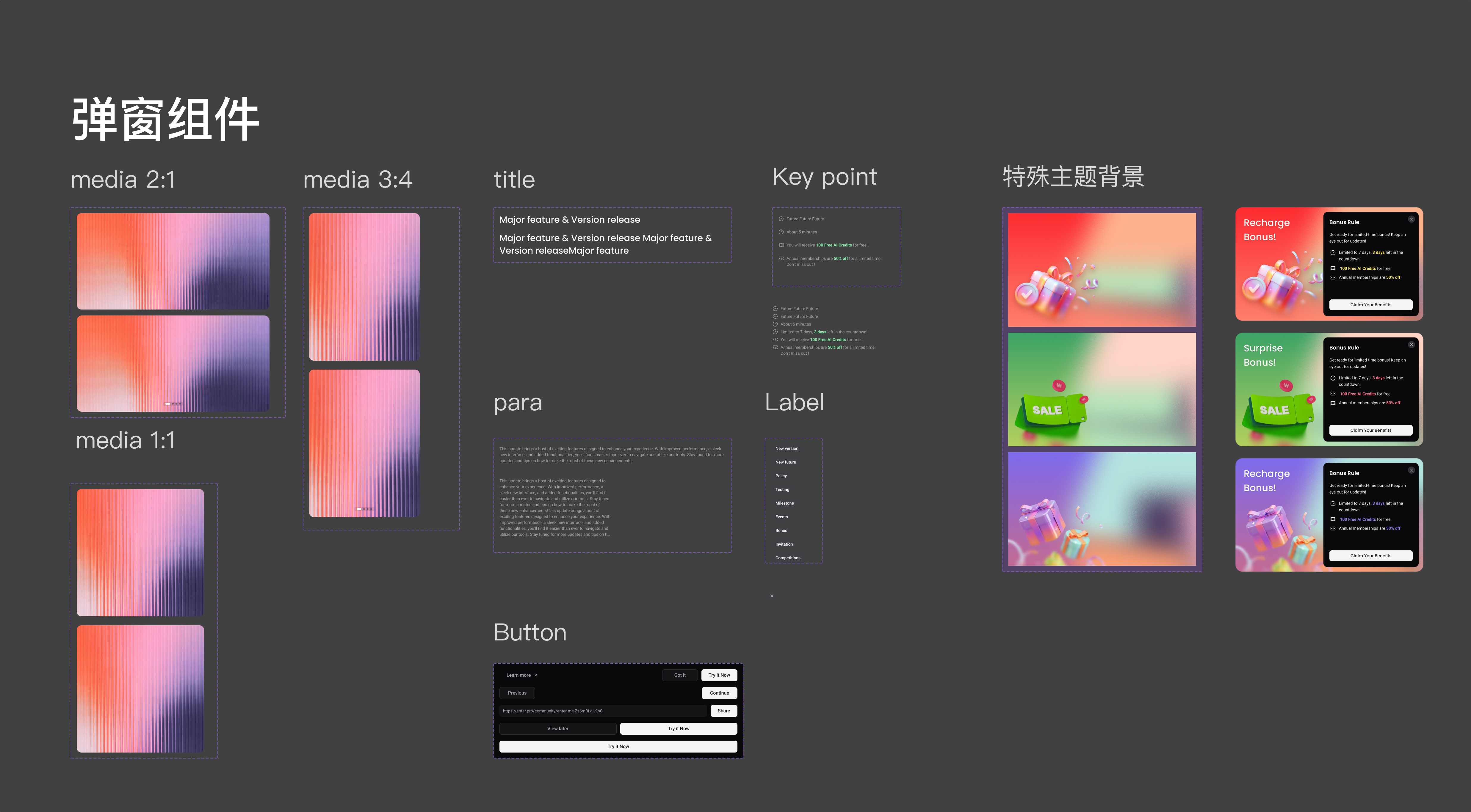 Enter.pro 运营弹窗系统展示 02